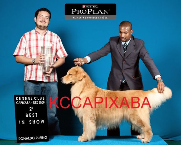 Clique sobre a foto para fechar